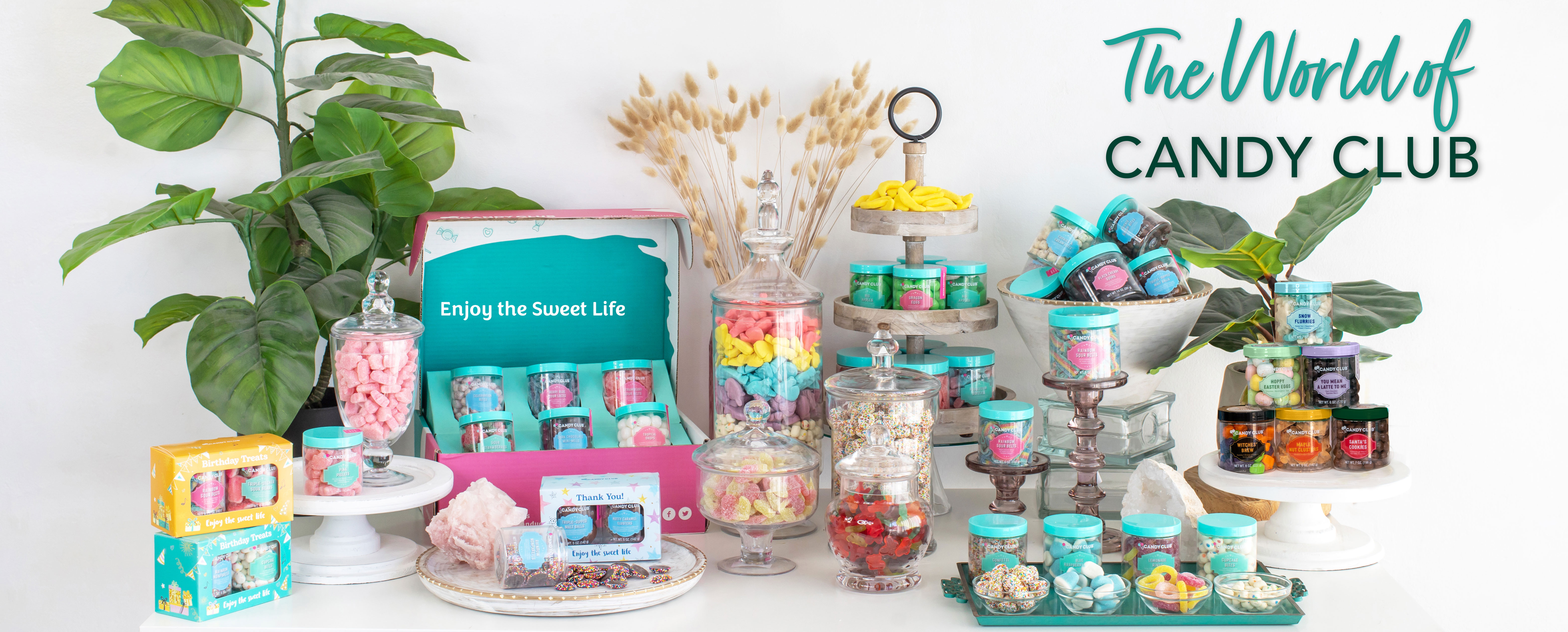 A table display of Candy Club's premium candy, included are the monthly subscription boxes and individual candy cups